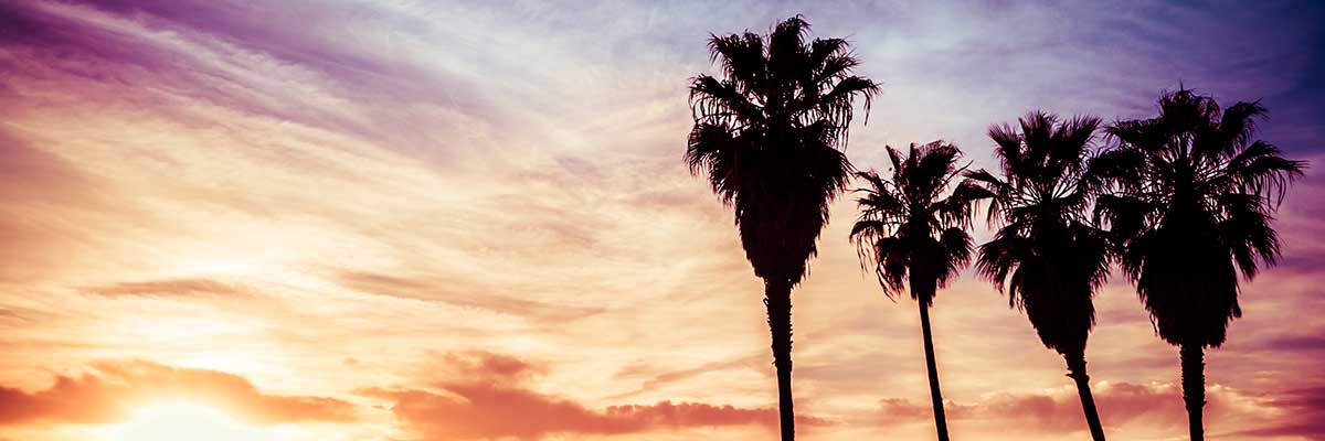 Venice Beach