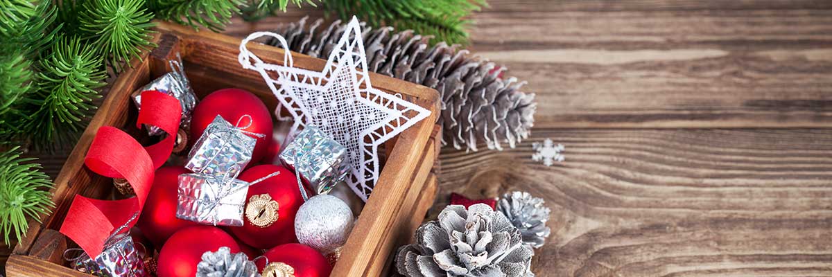 Christmas decs